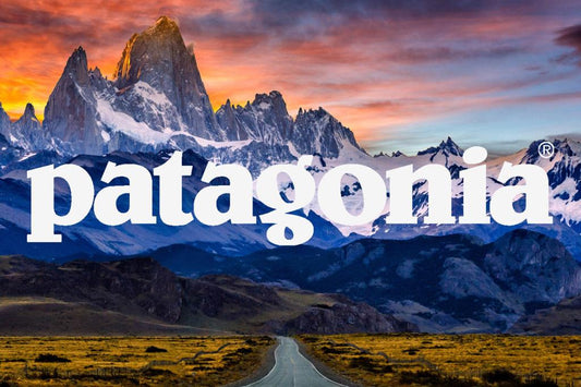 Patagonia : Une Marque Engagée qui Triomphe sur le Marché de la Seconde Main